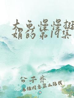 大龟慢慢挺进张娟的第19集