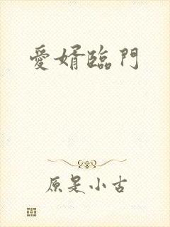 爱婿临门