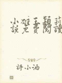 小雄王颖莉的小说免费阅读全文