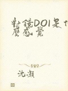 对镜DOI是什么感觉