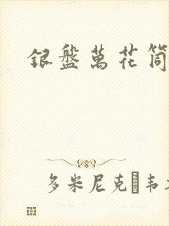 银盘万花筒小说