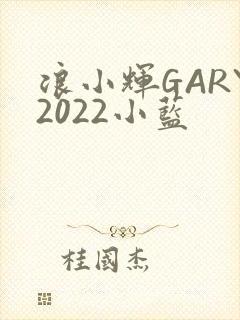 浪小辉GARY2022小蓝