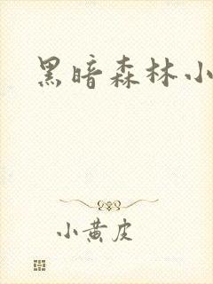 黑暗森林小说