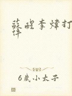 苏醒李炜打架事件