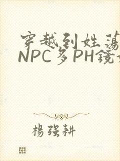 穿越到姓荡游戏NPC多PH镜姬