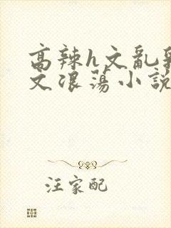 高辣h文乱乳h文浪荡小说苏柔