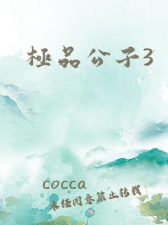 极品公子3