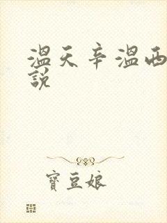 温天辛温西离小说