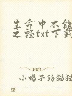 生命中不能承受之轻txt下载