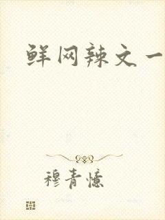 鲜网辣文一对一