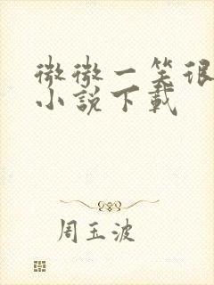 微微一笑很倾城小说下载