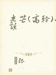 光芒(高干)小说