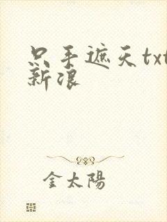 只手遮天txt新浪