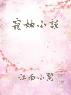 宠她小说