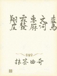 翔霖车文爽到头皮发麻河马的秘密