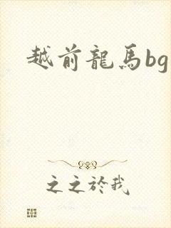 越前龙马bg