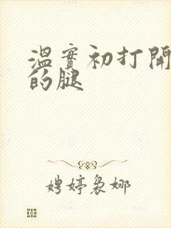 温实初打开眉庄的腿