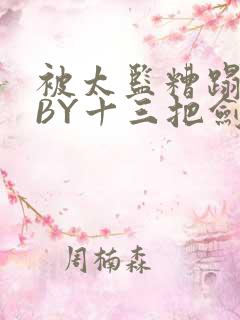 被太监糟蹋之后BY十三把剑