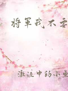 将军我不要你了