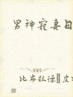 男神宠妻日常