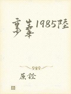 重生1985陆少华