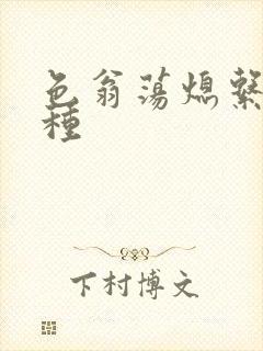 色翁荡熄系列借种