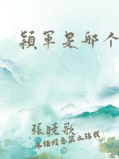 颖军是哪个军阀