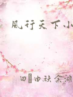 风行天下小说