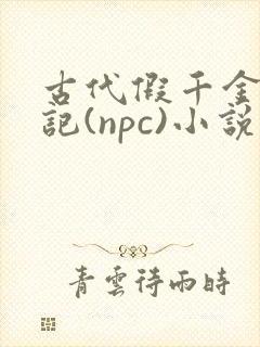 古代假千金挨日记(npc)小说