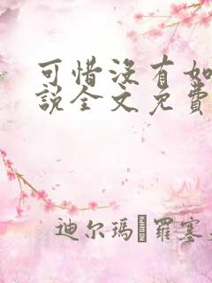 可惜没有如果小说全文免费阅读