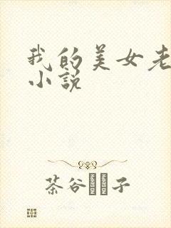 我的美女老板 小说