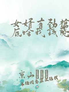 女婿有劲枪枪到底啥我钱飞了