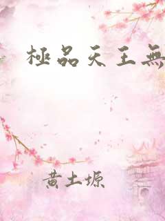 极品天王无弹窗