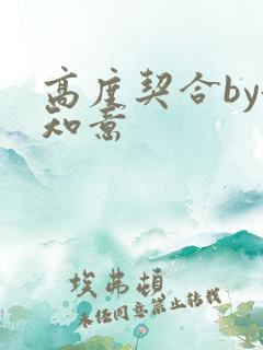 高度契合by洛知意