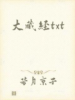 大藏经txt