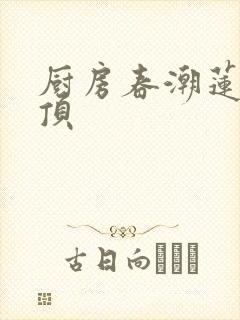 厨房春潮莲花坐顶