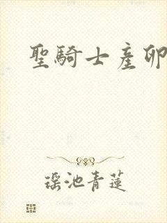 圣骑士产卵记