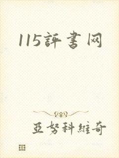 115评书网