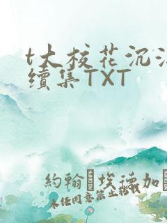 t大校花沉浮录续集TXT
