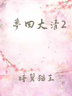 梦回大清2