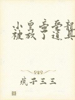 小皇帝受龙椅上被放了道具