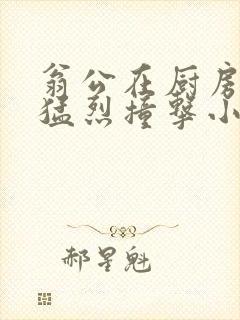 翁公在厨房和我猛烈撞击小说