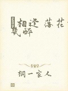 囍相逢 落花能几醉