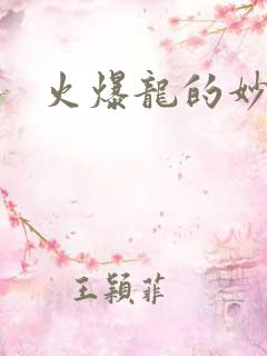 火爆龙的妙管家