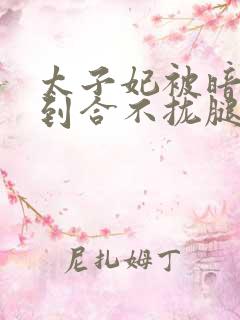 太子妃被暗卫c到合不拢腿