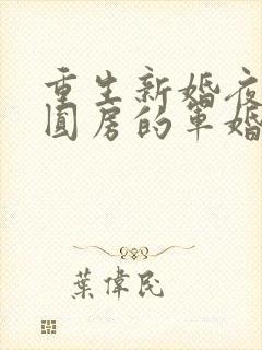 重生新婚夜正在圆房的军婚