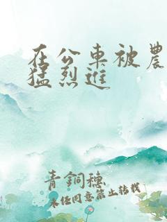 在公车被农民工猛烈进