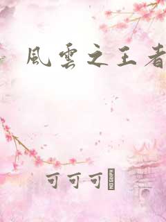 风云之王者人生