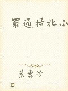 罗通扫北小说