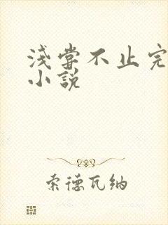浅尝不止完整版小说